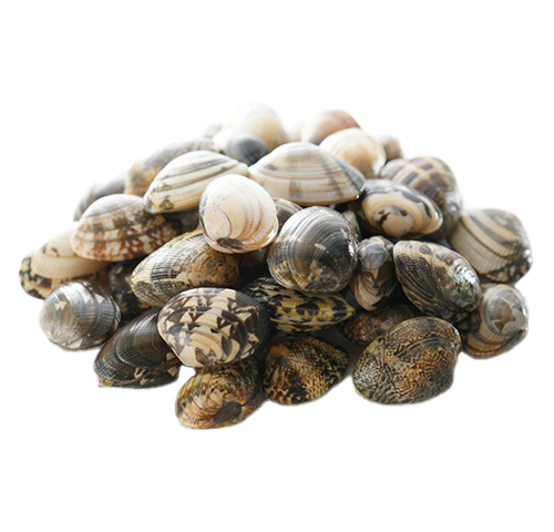 clams